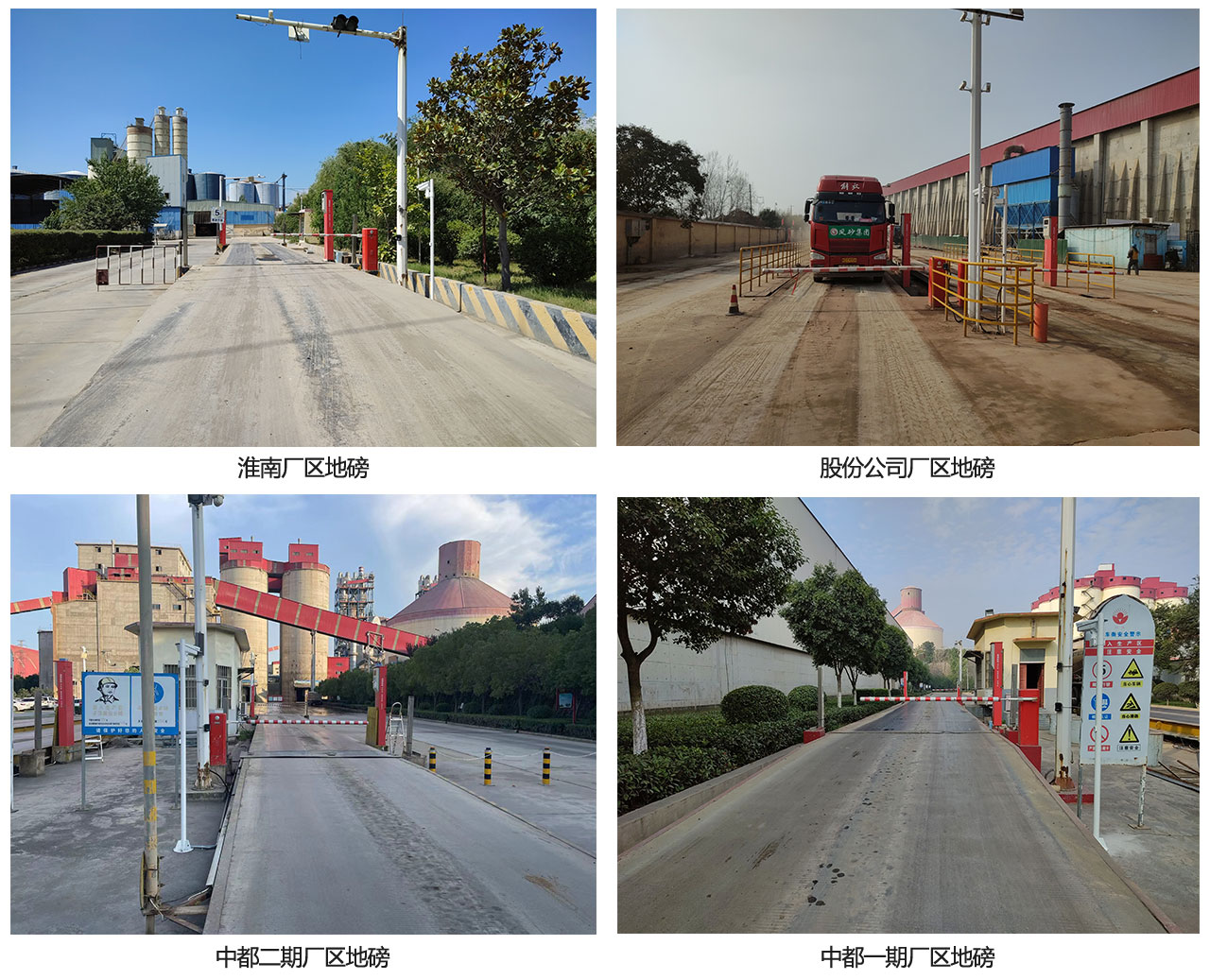 珍珠水泥地磅網絡用.jpg